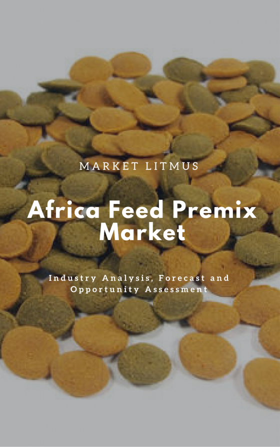 AFRICA FEED PREMIX MARKET SIZES AND TRENDS
