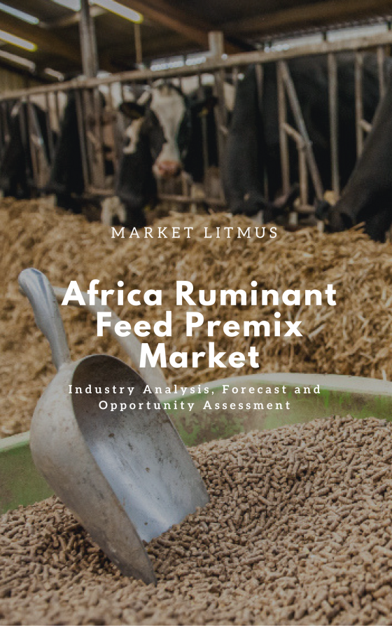AFRICA RUMINANT FEED PREMIX MARKET SIZES AND TRENDS