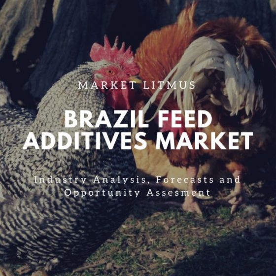 BRAZIL FEED ADDITIVES MARKET SIZES AND TRENDS