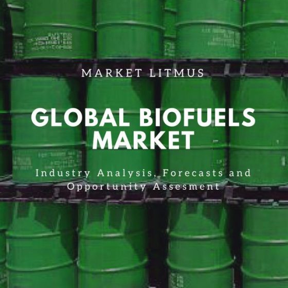 GLOBAL BIOFUELS MARKET SIZES AND TRENDS