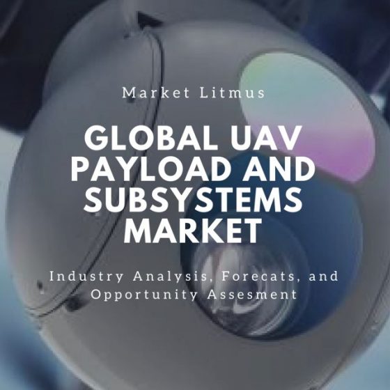 GLOBAL UAV PAYLOAD MARKET SIZES AND TRENDS