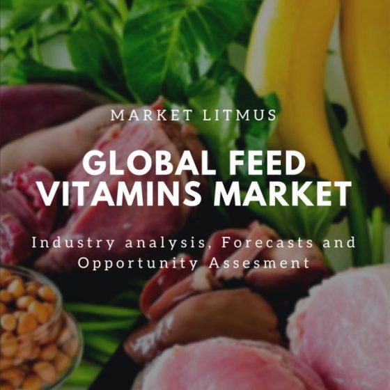 Global Feed Vitamins Market Sizes and Trends