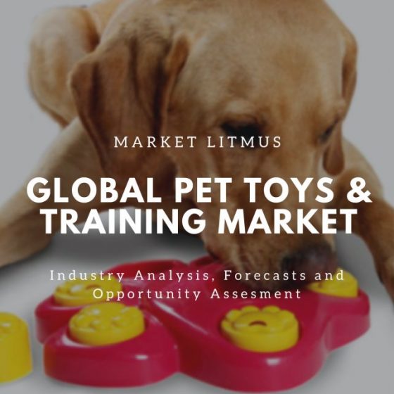 Global Pet Toys _ Training Market Sizes and Trends