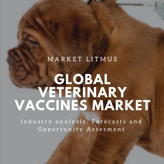 Global Veterinary Vaccines Market Sizes and Trends