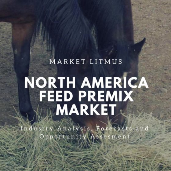 North America Feed Premix Market Sizes and Trends