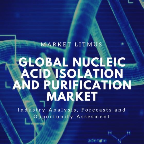 GLOBAL NUCLEIC ACID ISOLATION AND PURIFICATION MARKET SIZES AND TRENDS