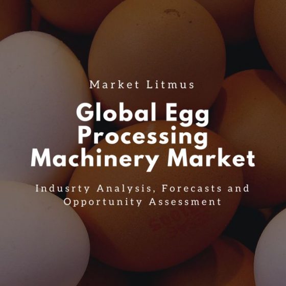 Global Egg Processing Machinery Market SIzes and Trends