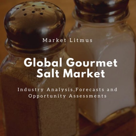 Global Gourmet Salt Market Sizes and Trends