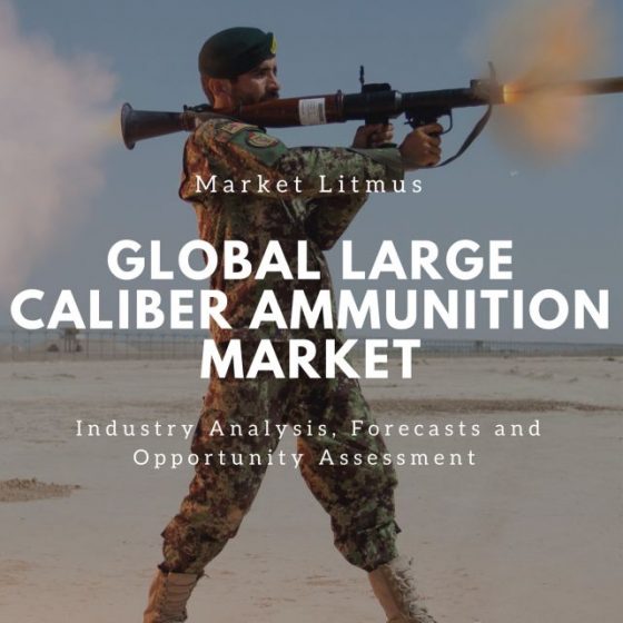 Global Large Caliber Ammunition Market Sizes and Trends