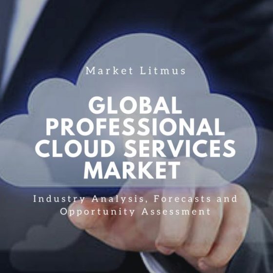Global Professional Cloud Services Market