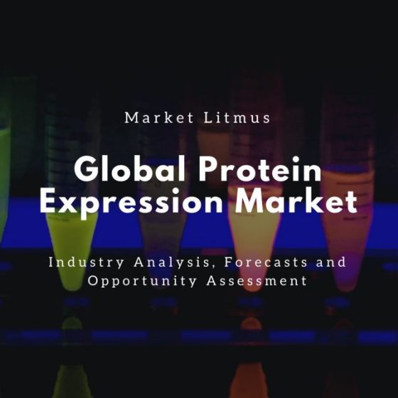 Global Protein Expression Market Sizes and Trends