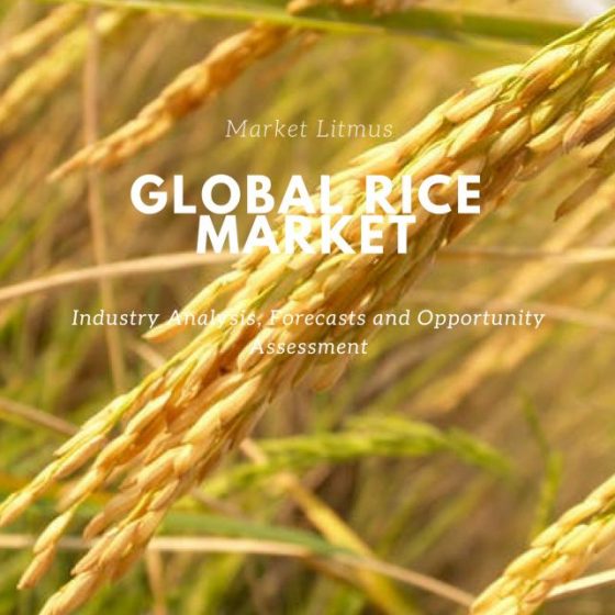 Global Rice Market Sizes and Trends