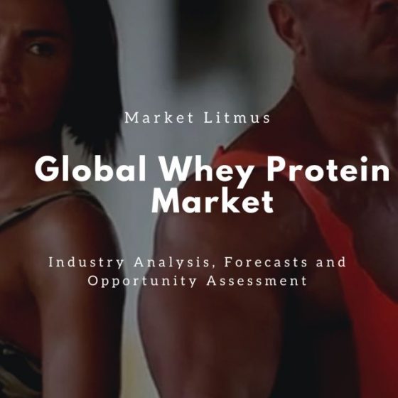 Global Whey Protein Market Sizes and Trends