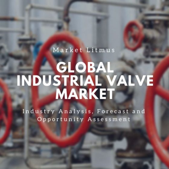 Global Industrial Valve Market Sizes and Trends