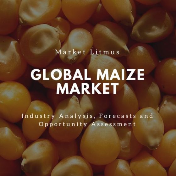 Global Maize Market Sizes and Trends