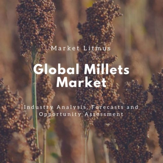 Global Millets Market Sizes and Trends