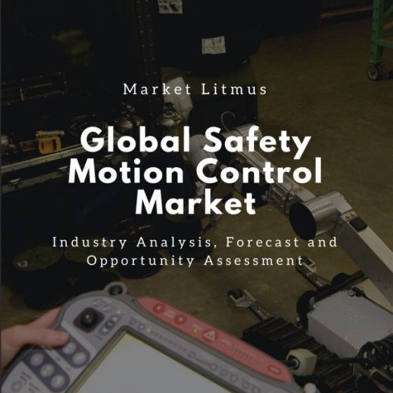 Global Safety Motion Control System Market Sizes and Trends