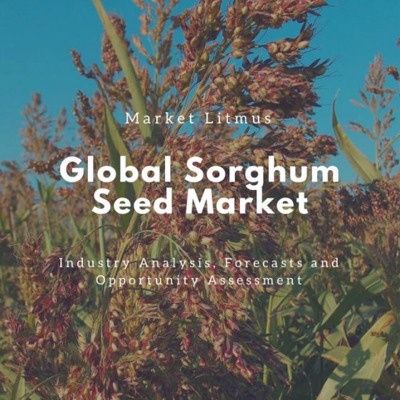 Global Sorghum Seed Market Sizes and Trends