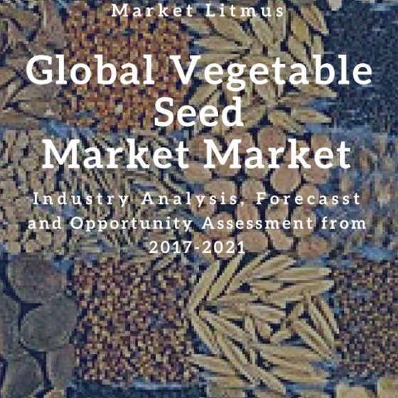 Global Vegetable Seed Market Sizes and Trends