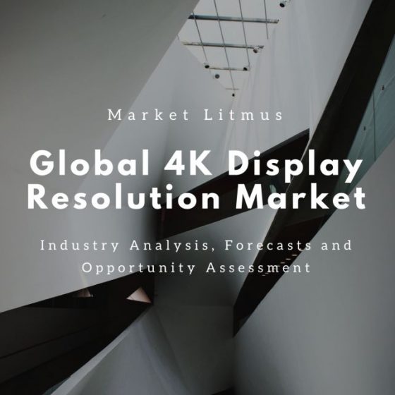 Global 4K Display Resolution Market Sizes and Trends