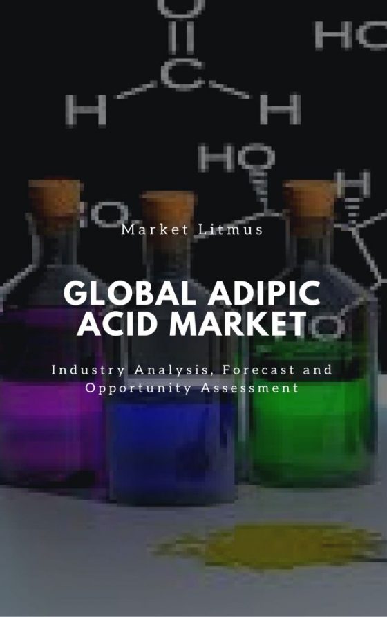 Adipic Acid Market Sizes and Trends