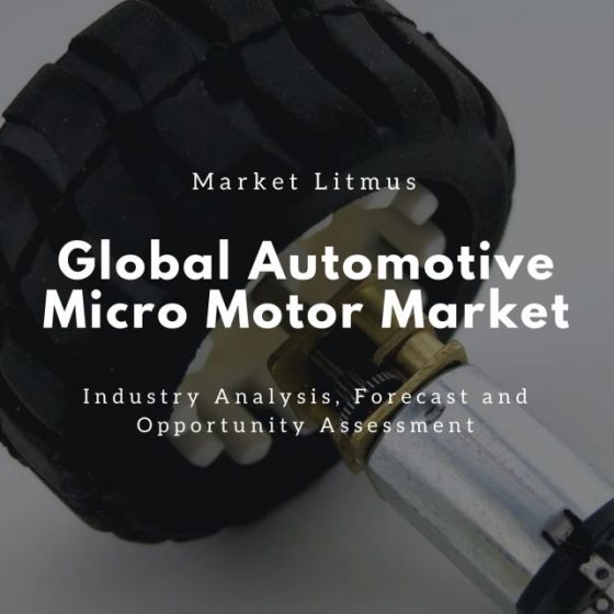 Global Automotive Micro Motor Market Sizes and Trends