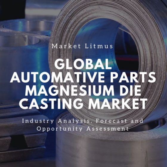 Global Automotive Parts Magnesium Die Casting market Sizes and Trends