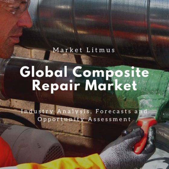 Composite Repair Market Sizes and Trends