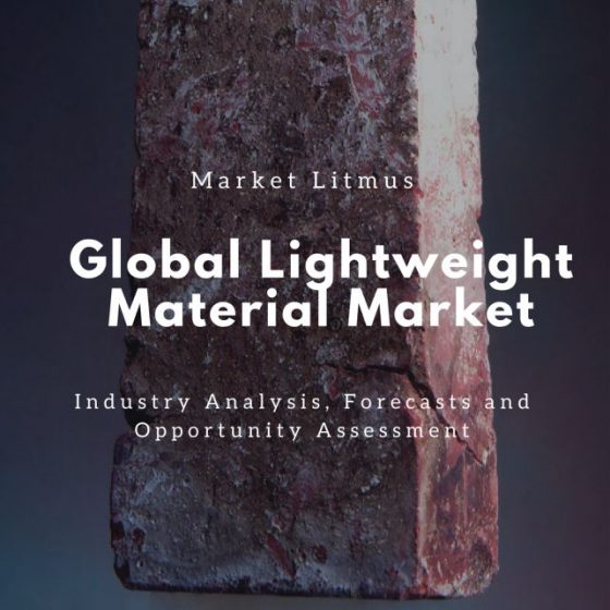 Lightweight Material Market Size and Trends