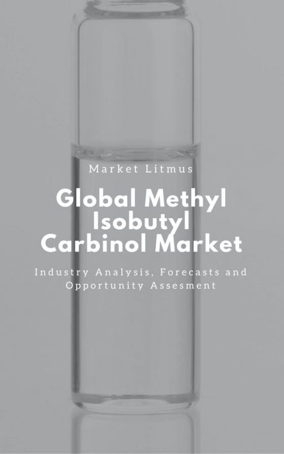 Methyl Isobutyl Carbinol Market Sizes and Trends