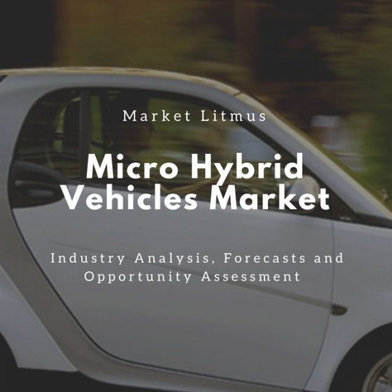 Global Micro Hybrid Vehicles Market Sizes and Trends