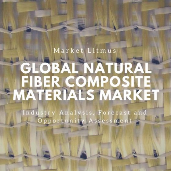 Natural Fiber Composite Materials Market Sizes and Trends