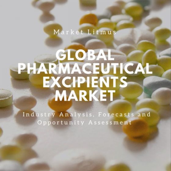 Pharmaceutical Excipients Market Trends and Size
