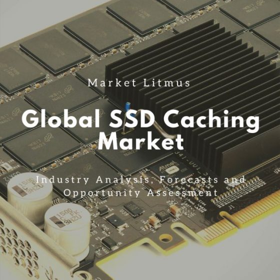 Global SSD Caching Market Sizes and Trends