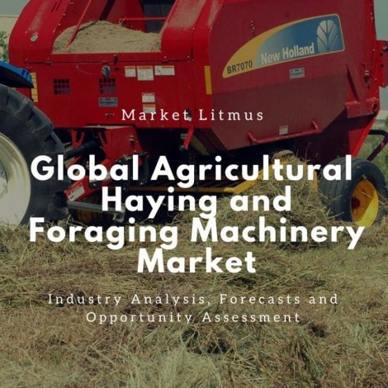 Global Agricultural Haying and Foraging Machinery Market Sizes and Trends