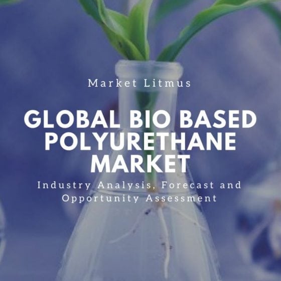 Global Bio Based Polyurethane Market Sizes and Trends