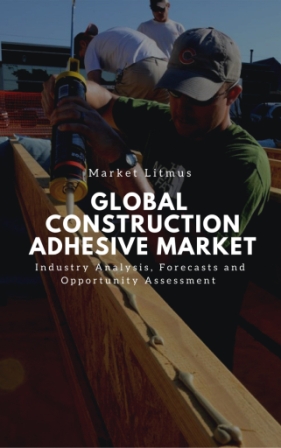 Global Construction Adhesive Market Sizes and Trends