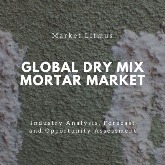 Global Dry Mix Mortar Market Sizes and Trends