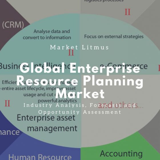 Global Enterprise Resource Planning Market Sizes and Trends