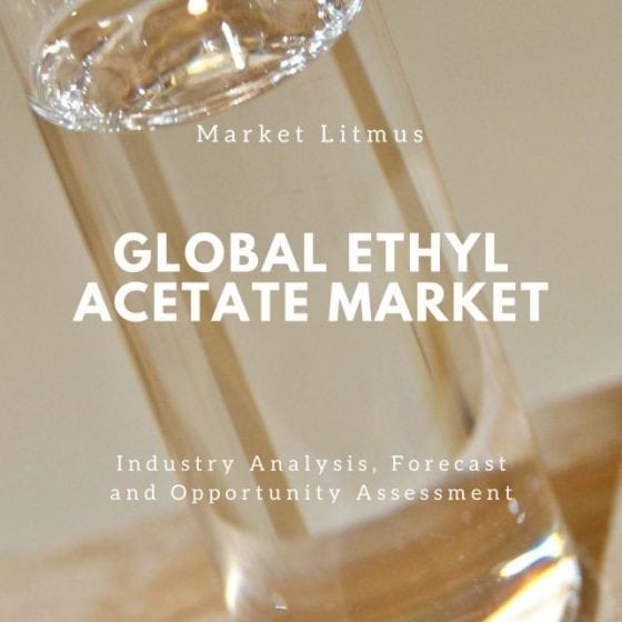 Global Ethyl Acetate Market Sizes and Trends