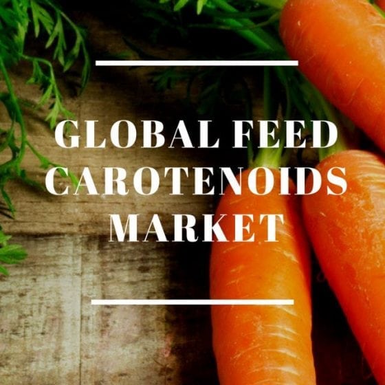 Global Feed Carotenoids Market Sizes and Trends