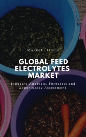 Global Feed Electrolytes Market Sizes and Trends
