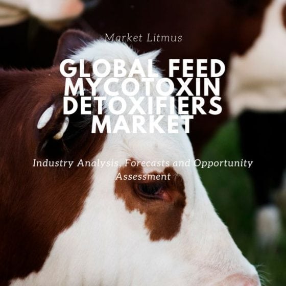 Global Feed Mycotoxin Detoxifiers Sizes and Trends