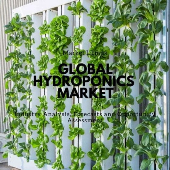 Global Hydroponics Market Sizes and Trends