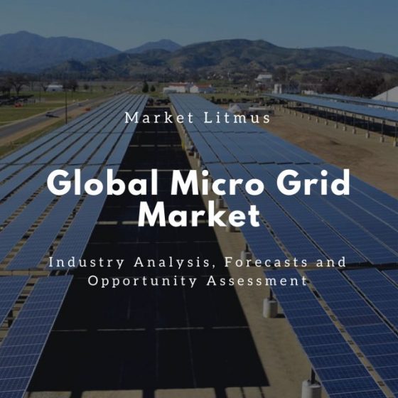 Global Micro Grid Market SIzes and Trends