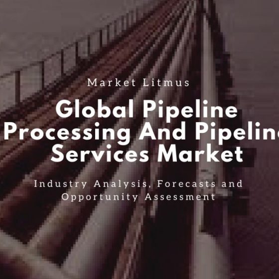Global Pipeline Processing And Pipeline Services Market Sizes and Trends