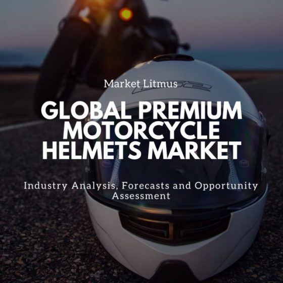 Global Premium Motorcycle Helmets Market Sizes and Trends