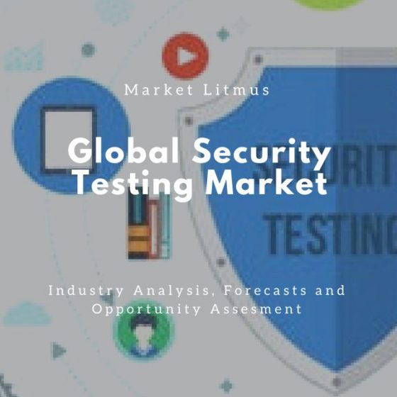 Global Security Testing Market Sizes and Trends