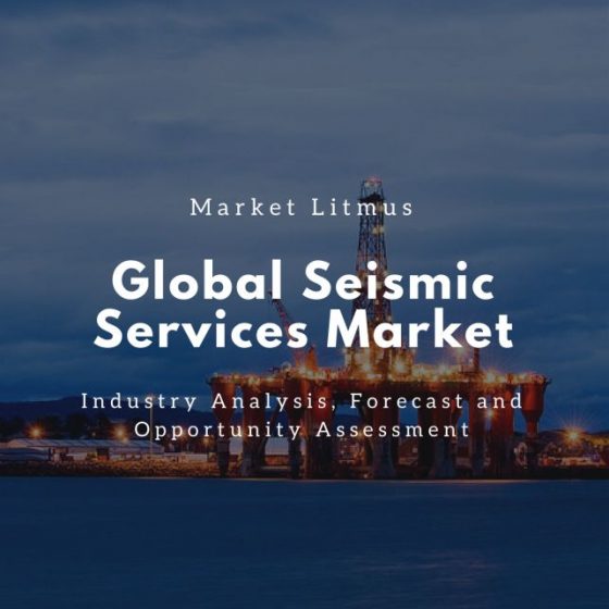 Global Seismic Services Market Sizes and Trends