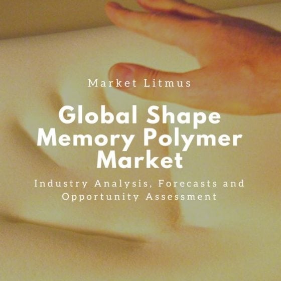 Global Shape Memory Polymer Market SIzes and Trends
